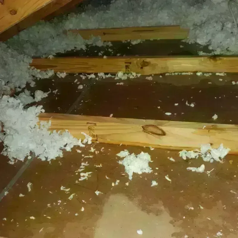 Attic Water Damage in Paramount, CA