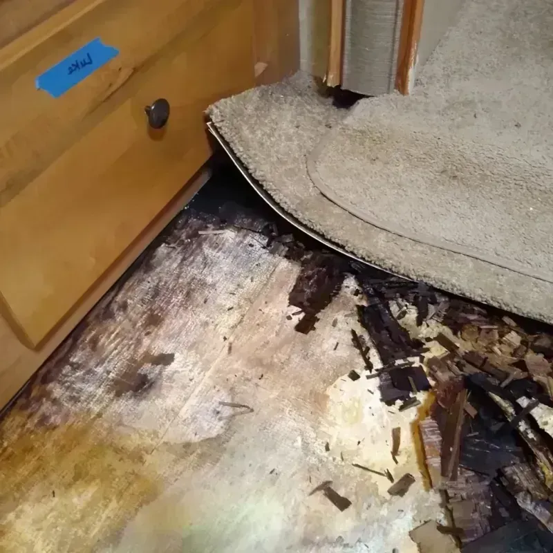 Wood Floor Water Damage in Paramount, CA